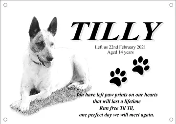 Pet memorial plaque with an engraved dog sketch and verse
